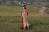 ADULTE ET CHIEN 480